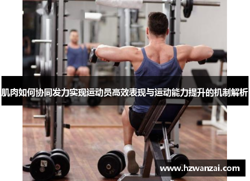 肌肉如何协同发力实现运动员高效表现与运动能力提升的机制解析